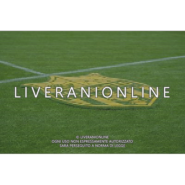 illustration logo Nantes - 01.11.2015 - Nantes / Marseille - 12eme journee de Ligue 1 Photo : Andre Ferreira / Icon Sport /AGENZIA ALDO LIVERANI SAS - ITALY ONLY EDITORIAL USE ONLY
