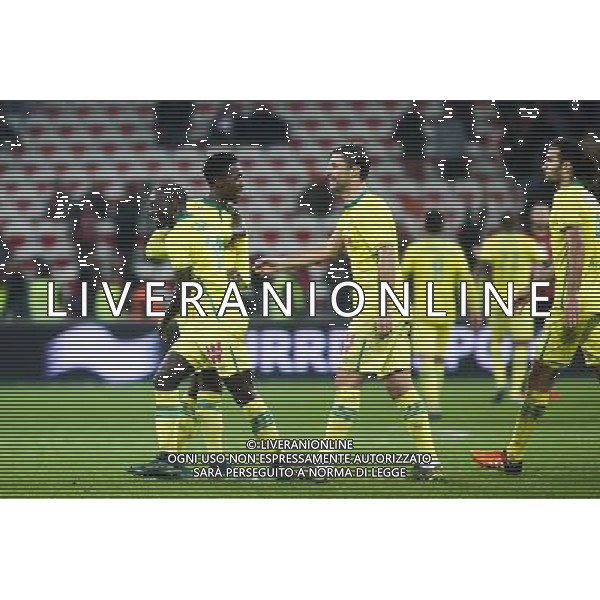 Joie Nantes - 04.11.2015 - Nice / Nantes - Match en Retard - 9eme journee de Ligue 1 Photo : Serge Haouzi / Icon Sport /Agenzia Aldo Liverani S.a.s. - ITALY ONLY EDITORIAL USE ONLY
