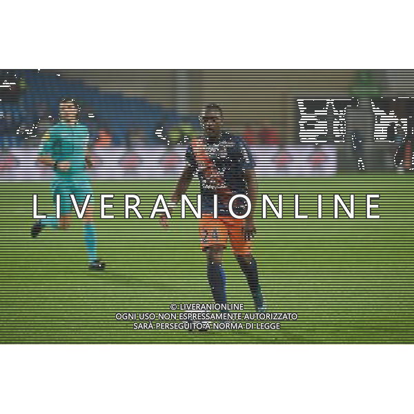 Jerome Roussillon - 07.11.2015 - Montpellier / Nantes - 13eme journee de Ligue 1 Photo : Alexandre Dimou / Icon Sport AG ALDO LIVERANI SAS ONLY ITALY