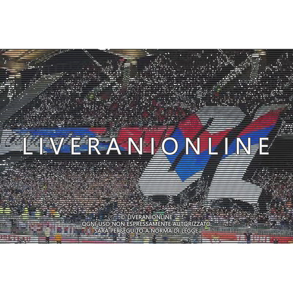 Supporters Lyon - 08.11.2015 - Lyon / Saint Etienne - 13eme journee de Ligue 1 Photo : Jean Paul Thomas / Icon Sport /AGENZIA ALDO LIVERANI SAS - - ITALY ONLY - EDITORIAL USE ONLY -