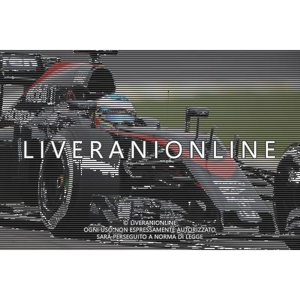 Fernando Alonso (ESP), McLaren Honda 13.11.2015. Formula 1 World Championship, Rd 18, Brazilian Grand Prix, Sao Paulo, Brazil, Practice Day. AG ALDO LIVERANI SAS ONLY ITALY