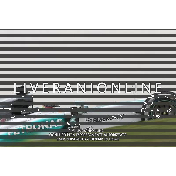 Lewis Hamilton (GBR), Mercedes AMG F1 Team 13.11.2015. Formula 1 World Championship, Rd 18, Brazilian Grand Prix, Sao Paulo, Brazil, Practice Day. AG ALDO LIVERANI SAS ONLY ITALY