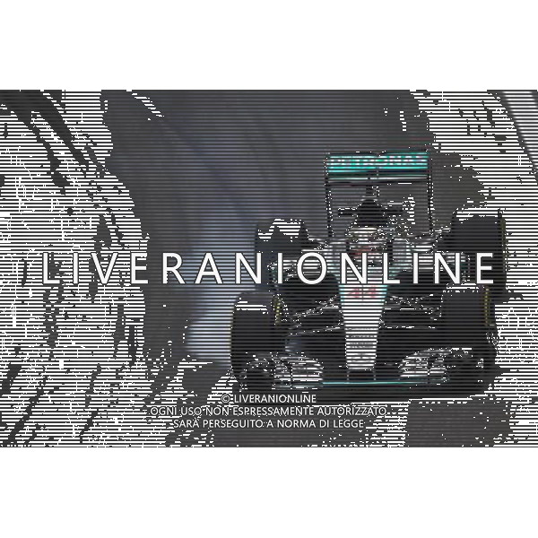 Lewis Hamilton (GBR) Mercedes AMG F1 W06 locks up under braking. 13.11.2015. Formula 1 World Championship, Rd 18, Brazilian Grand Prix, Sao Paulo, Brazil, Practice Day. /AGENZIA ALDO LIVERANI SAS - ITALY ONLY - EDITORIAL USE ONLY - Gran Premio del Brasile F1 Prove Libere