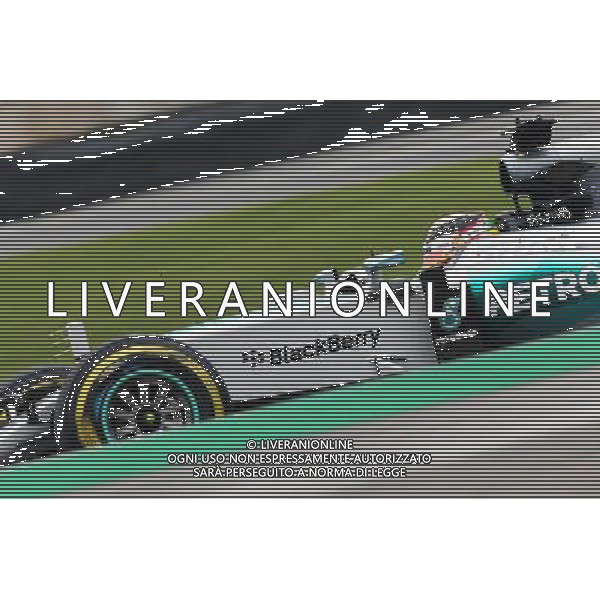 Lewis Hamilton (GBR) Mercedes AMG F1 W06. 13.11.2015. Formula 1 World Championship, Rd 18, Brazilian Grand Prix, Sao Paulo, Brazil, Practice Day. /AGENZIA ALDO LIVERANI SAS - ITALY ONLY - EDITORIAL USE ONLY - Gran Premio del Brasile F1 Prove Libere