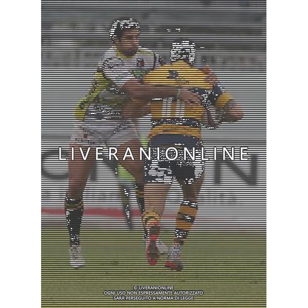 ,Cammi Rugby Calvisano-Cardiff ,Calvisano 14 novembre 2015. AG ALDO LIVERANI SAS