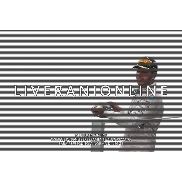 Lewis Hamilton (GBR), Mercedes AMG F1 Team 15.11.2015. Formula 1 World Championship, Rd 18, Brazilian Grand Prix, Sao Paulo, Brazil, Race Day. AG ALDO LIVERANI SAS ONLY ITALY