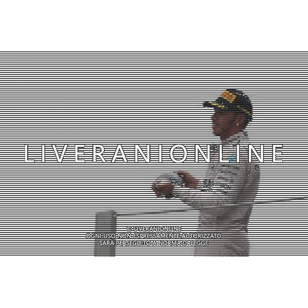 Lewis Hamilton (GBR), Mercedes AMG F1 Team 15.11.2015. Formula 1 World Championship, Rd 18, Brazilian Grand Prix, Sao Paulo, Brazil, Race Day. AG ALDO LIVERANI SAS ONLY ITALY
