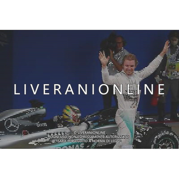 1st place Nico Rosberg (GER) Mercedes AMG F1 W06. 15.11.2015. Formula 1 World Championship, Rd 18, Brazilian Grand Prix, Sao Paulo, Brazil, Race Day. AG ALDO LIVERANI SAS ONLY ITALY