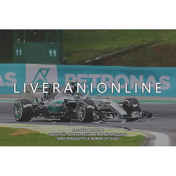 Race winner Nico Rosberg (GER) Mercedes AMG F1 W06 celebrates at the end of the race. 15.11.2015. Formula 1 World Championship, Rd 18, Brazilian Grand Prix, Sao Paulo, Brazil, Race Day. /AGENZIA ALDO LIVERANI Sas - ITALY ONLY - EDITORIAL USE ONLY - GP BRASILE F1 SAN PAOLO