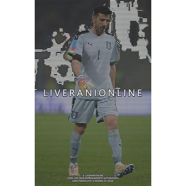 Amichevole Bologna - 17.11.2015 Italia-Romania Nella Foto:Buffon Gianluigi /Ph.Vitez-Ag. Aldo Liverani