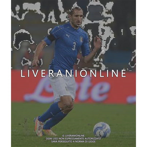 Amichevole Bologna - 17.11.2015 Italia-Romania Nella Foto:Chiellini Giorgio /Ph.Vitez-Ag. Aldo Liverani