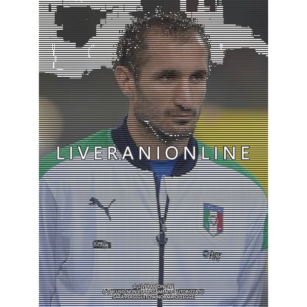 Amichevole Bologna - 17.11.2015 Italia-Romania Nella Foto:Chiellini Giorgio /Ph.Vitez-Ag. Aldo Liverani