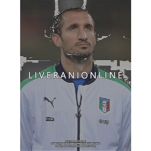 Amichevole Bologna - 17.11.2015 Italia-Romania Nella Foto:Chiellini Giorgio /Ph.Vitez-Ag. Aldo Liverani