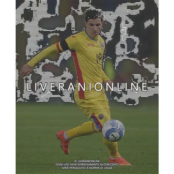 Amichevole Bologna - 17.11.2015 Italia-Romania Nella Foto:Stancu Bogdan /Ph.Vitez-Ag. Aldo Liverani