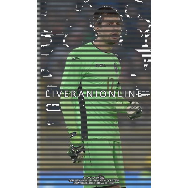 Amichevole Bologna - 17.11.2015 Italia-Romania Nella Foto:Tatarusanu Ciprin /Ph.Vitez-Ag. Aldo Liverani