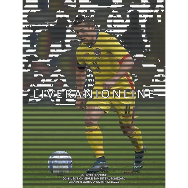 Amichevole Bologna - 17.11.2015 Italia-Romania Nella Foto:Torje Gabriel /Ph.Vitez-Ag. Aldo Liverani