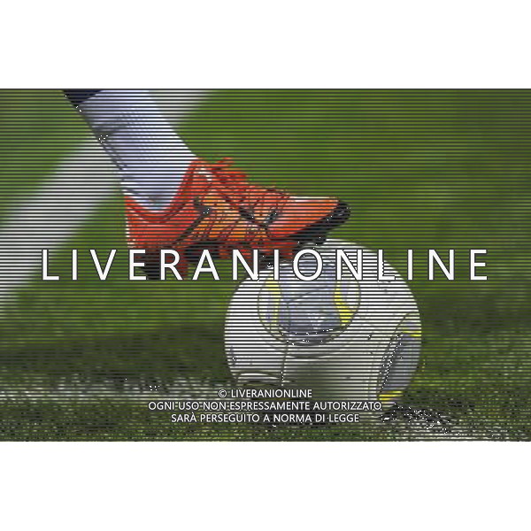 Illustration Ballon - 18.11.2015 - Lyon / Atletico Madrid - Champions League Feminine Photo : Jean Paul Thomas / Icon Sport / AGENZIA ALDO LIVERANI SAS - ITALY ONLY EDITORIAL USE ONLY