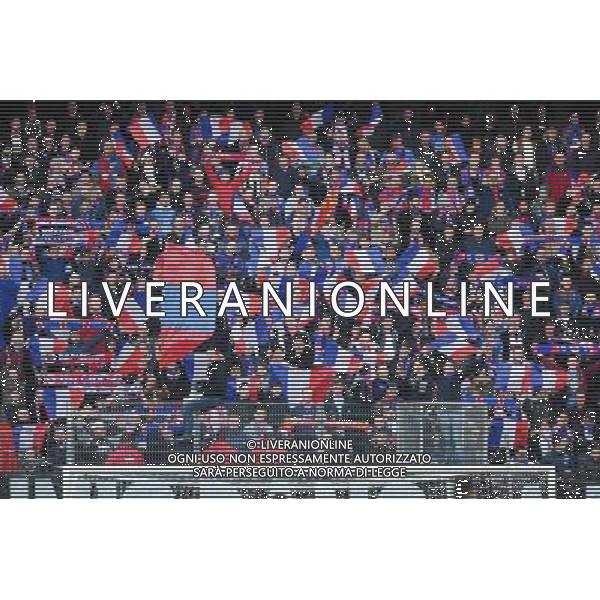 supporters Caen / hommage victimes attentats - 22.11.2015 - Caen / Angers - 14eme journee de Ligue 1 Photo : Andre Ferreira / Icon Sport AG ALDO LIVERANI SAS ONLY ITALY
