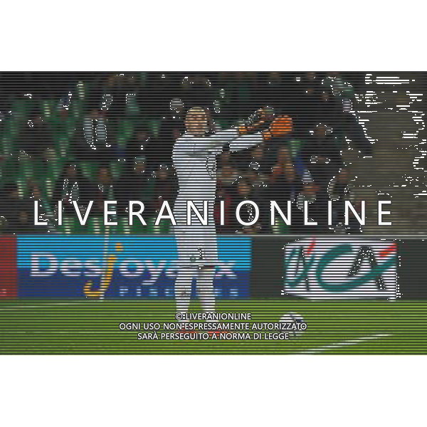 Stephane RUFFIER - 22.11.2015 - Saint Etienne / Marseille - 14eme journee de Ligue 1 Photo : Jean Paul Thomas / Icon Sport AG ALDO LIVERANI SAS ONLY ITALY