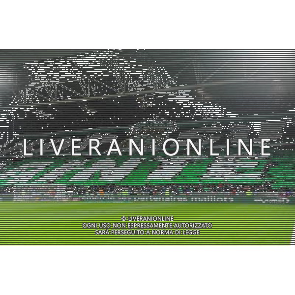 Supporters Saint Etienne - 22.11.2015 - Saint Etienne / Marseille - 14eme journee de Ligue 1 Photo : Jean Paul Thomas / Icon Sport AG ALDO LIVERANI SAS ONLY ITALY