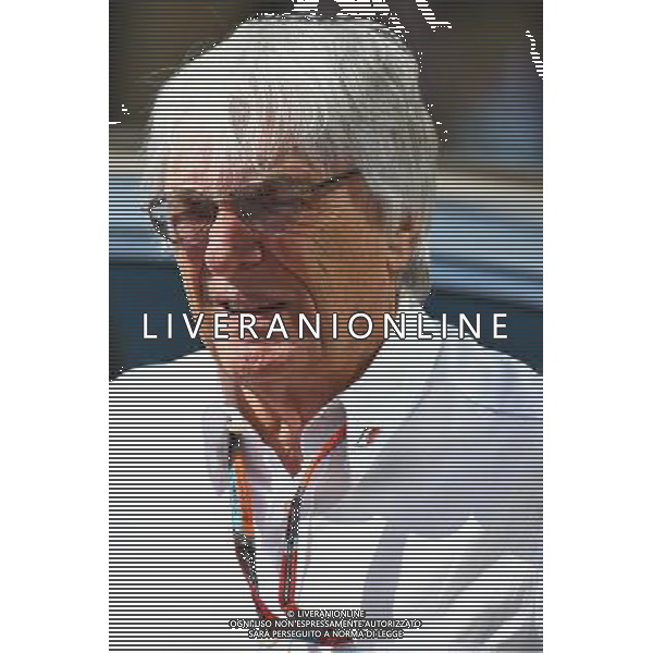 Bernie Ecclestone (GBR). 27.11.2015. Formula 1 World Championship, Rd 19, Abu Dhabi Grand Prix, Yas Marina Circuit, Abu Dhabi, Practice Day. / AGENZIA ALDO LIVERANI SAS - ITALY ONLY EDITORIAL USE ONLY - Gp F1 Abu Dhabi Prove Libere