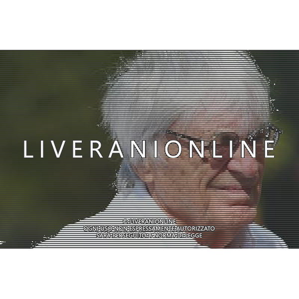 Bernie Ecclestone (GBR). 27.11.2015. Formula 1 World Championship, Rd 19, Abu Dhabi Grand Prix, Yas Marina Circuit, Abu Dhabi, Practice Day. / AGENZIA ALDO LIVERANI SAS - ITALY ONLY EDITORIAL USE ONLY - Gp F1 Abu Dhabi Prove Libere