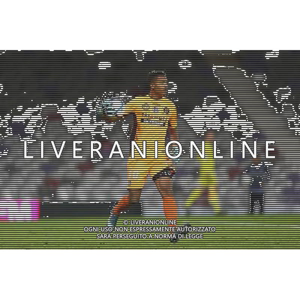 Alban Lafont - 28.11.2015 - Toulouse / Nice - 15eme journee de Ligue 1 Photo : Manuel Blondeau / Icon Sport AG ALDO LIVERANI SAS ONLY ITALY