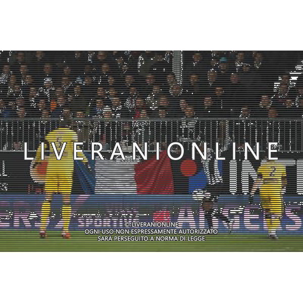 Supporters Angers - 28.11.2015 - Angers / Lille - 15eme journee de Ligue 1 Photo : Vincent Michel / Icon Sport AG ALDO LIVERANI SAS ONLY ITALY