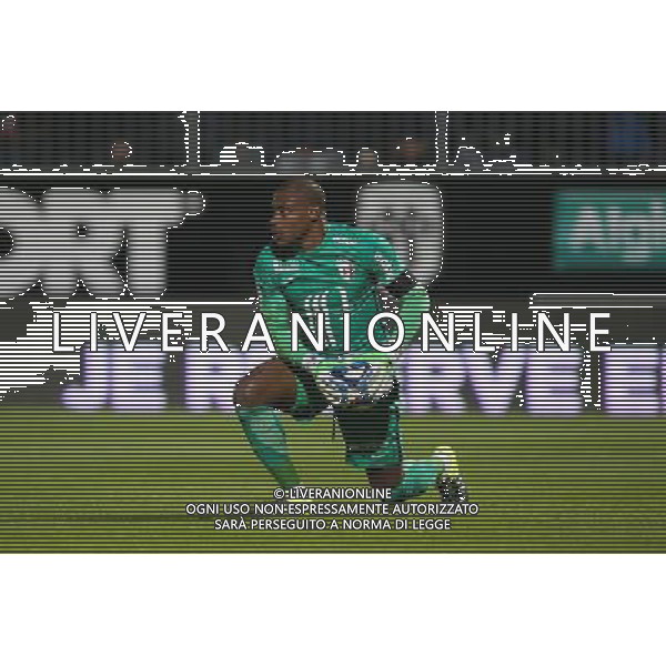 Vincent ENYEAMA - 28.11.2015 - Angers / Lille - 15eme journee de Ligue 1 Photo : Vincent Michel / Icon Sport AG ALDO LIVERANI SAS ONLY ITALY