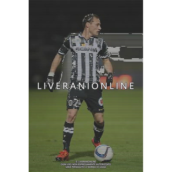 Vincent MANCEAU - 28.11.2015 - Angers / Lille - 15eme journee de Ligue 1 Photo : Vincent Michel / Icon Sport AG ALDO LIVERANI SAS ONLY ITALY
