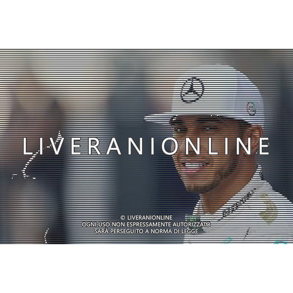 Lewis Hamilton (GBR), Mercedes AMG F1 Team 29.11.2015. Formula 1 World Championship, Rd 19, Abu Dhabi Grand Prix, Yas Marina Circuit, Abu Dhabi, Race Day. AG ALDO LIVERANI SAS ONLY ITALY