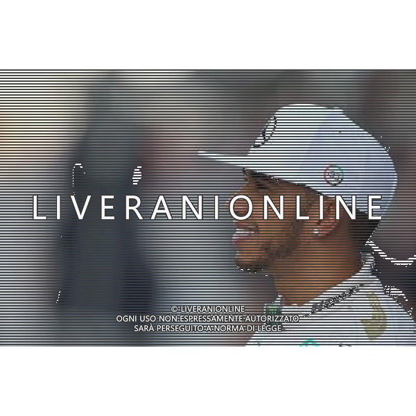 Lewis Hamilton (GBR), Mercedes AMG F1 Team 29.11.2015. Formula 1 World Championship, Rd 19, Abu Dhabi Grand Prix, Yas Marina Circuit, Abu Dhabi, Race Day. AG ALDO LIVERANI SAS ONLY ITALY