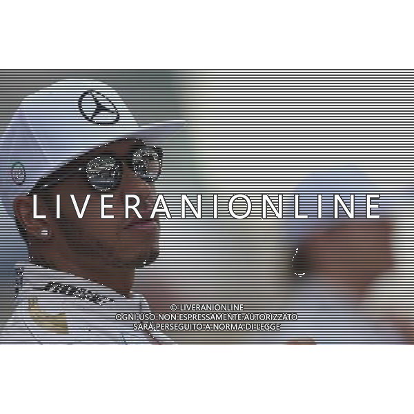 Lewis Hamilton (GBR), Mercedes AMG F1 Team 29.11.2015. Formula 1 World Championship, Rd 19, Abu Dhabi Grand Prix, Yas Marina Circuit, Abu Dhabi, Race Day. AG ALDO LIVERANI SAS ONLY ITALY