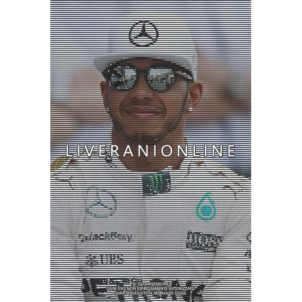 Lewis Hamilton (GBR), Mercedes AMG F1 Team 29.11.2015. Formula 1 World Championship, Rd 19, Abu Dhabi Grand Prix, Yas Marina Circuit, Abu Dhabi, Race Day. AG ALDO LIVERANI SAS ONLY ITALY