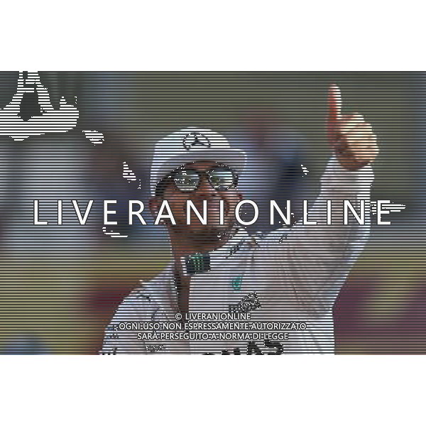 Lewis Hamilton (GBR), Mercedes AMG F1 Team 29.11.2015. Formula 1 World Championship, Rd 19, Abu Dhabi Grand Prix, Yas Marina Circuit, Abu Dhabi, Race Day. AG ALDO LIVERANI SAS ONLY ITALY