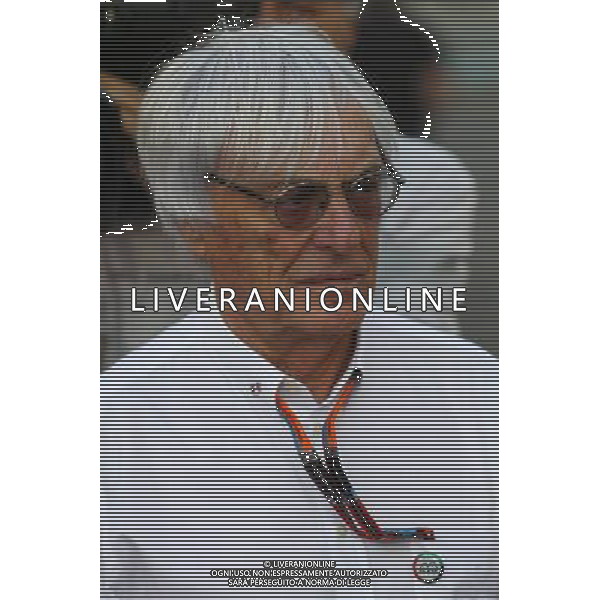 Bernie Ecclestone (GBR) on the grid. 29.11.2015. Formula 1 World Championship, Rd 19, Abu Dhabi Grand Prix, Yas Marina Circuit, Abu Dhabi, Race Day. AG ALDO LIVERANI SAS ONLY ITALY