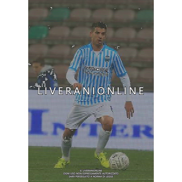 SPAL CALCIO 2015-2016 NELLA FOTO CECCARONI PIETRO AG ALDO LIVERANI SAS