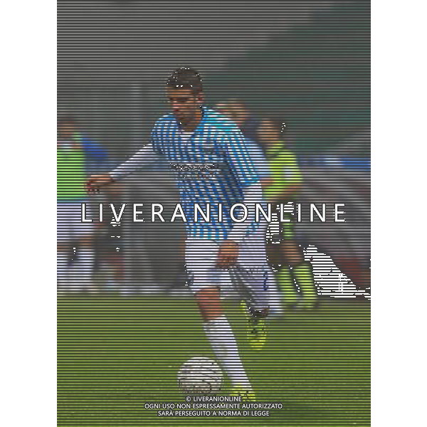 SPAL CALCIO 2015-2016 NELLA FOTO CECCARONI PIETRO AG ALDO LIVERANI SAS