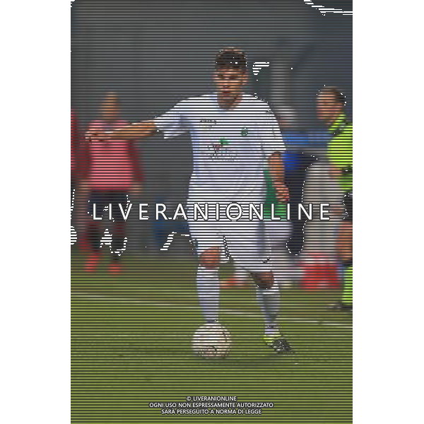 PORDENONE CALCIO 2015-2016 NELLA FOTO MARCO BERARDI AG ALDO LIVERANI SAS