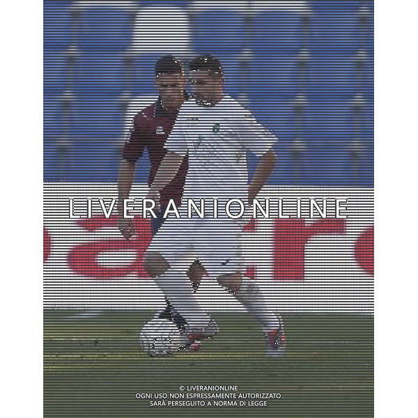 PORDENONE CALCIO 2015-2016 NELLA FOTO ALBERTO FILIPPINI AG ALDO LIVERANI SAS
