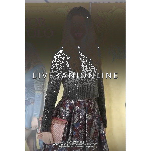 / AGENZIA ALDO LIVERANI SAS -