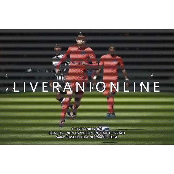 Edinson CAVANI - 01.12.2015 - Angers / PSG - 16eme journee Ligue 1 Photo : Nolwenn Le Gouic / Icon Sport AG ALDO LIVERANI SAS ONLY ITALY