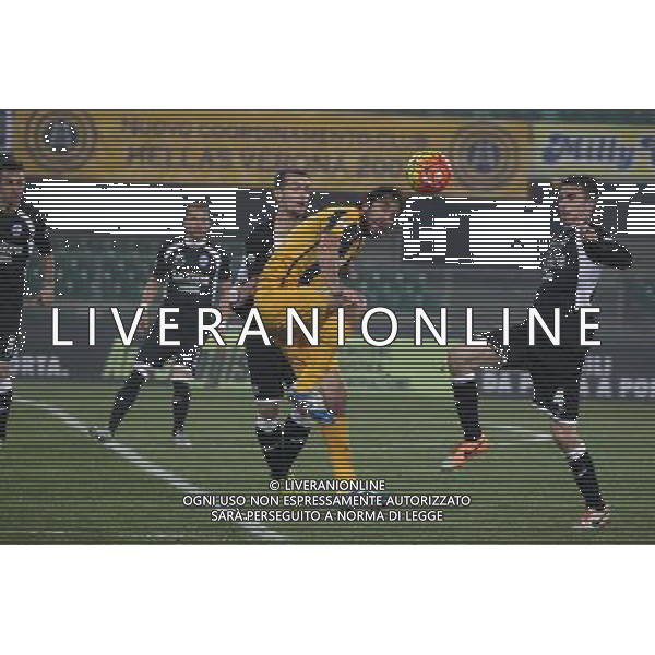 02-12-2015 VERONA PAVIA COPPA ITALIA TIM NELLA FOTO LUCA TONI FOTO EXPRESS-AG ALDO LIVERANI SAS
