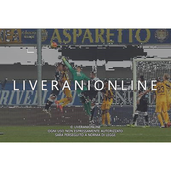 02-12-2015 VERONA PAVIA COPPA ITALIA TIM NELLA FOTO GOLLINI FOTO EXPRESS-AG ALDO LIVERANI SAS