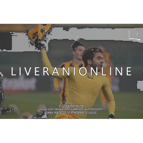 02-12-2015 VERONA PAVIA COPPA ITALIA TIM NELLA FOTO CLAUDIO WINCK FOTO EXPRESS-AG ALDO LIVERANI SAS