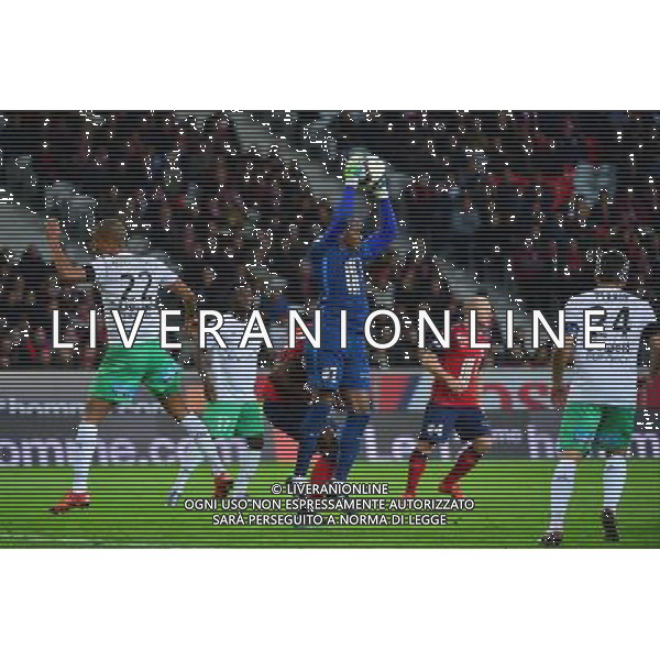 Vincent ENYEAMA - 02.12.2015 - Lille / Saint Etienne - 16eme journee de Ligue 1 Photo: Dave Winter / Icon Sport/ AGENZIA ALDO LIVERANI SAS - ITALY ONLY EDITORIAL USE ONLY