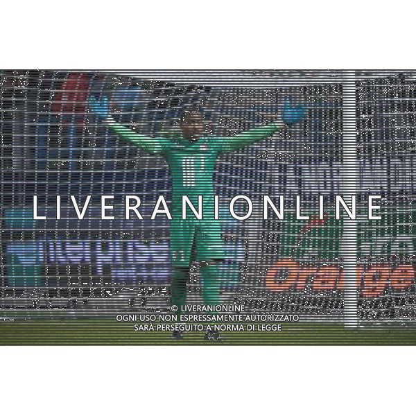 Vincent ENYEAMA - 05.12.2015 - Caen / Lille - 17eme journee Ligue 1 Photo : Nolwenn Le Gouic / Icon Sport AG ALDO LIVERANI SAS ONLY ITALY