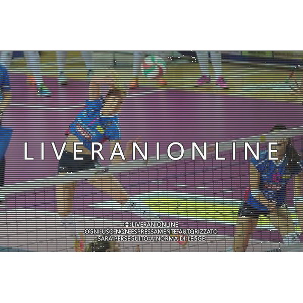 Campionato Serie A1 Master Group Sport - 10¡ giornata Novara 6-12-2015 Pala Igor Gorgonzola Igor Gorgonzola Novara vs Unendo Yamamay Busto Arsizio nella foto Helene Rousseaux (Novara) foto Roberto Garavaglia - ag. Aldo Liverani sas