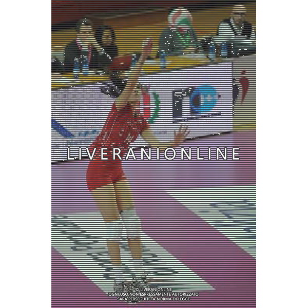 Campionato Serie A1 Master Group Sport - 10¡ giornata Novara 6-12-2015 Pala Igor Gorgonzola Igor Gorgonzola Novara vs Unendo Yamamay Busto Arsizio nella foto Gozde Yilmaz (Busto Arsizio) foto Roberto Garavaglia - ag. Aldo Liverani sas
