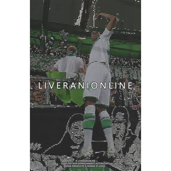 firo : 08.12.2015, 08. december 2015 Fu§ball, Champions League ,Saison 2015/2016, VFL Wolfsburg - Manchester United Wolfsburg, Naldo, Schlussjubel, auf dem Zaun bei den Fans $worldrights,Es gelten unsere AGB, einsehbar auf www.firosportphoto.de, copyright by firo sportphoto: Coesfelder Str. 207 D-48249 DŸlmen www.firosportphoto.de mail@firosportphoto.de (V o l k s b a n k B o c h u m - W i t t e n ) BLZ.: 430 601 29 Kt. Nr.: 341 117 100 Tel:Ê +49-2594-9916004 Fax:Ê+49-2594-9916005 AG ALDO LIVERANI SAS ONLY ITALY